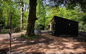 Adelaerthoeve Logies&Ontbijt